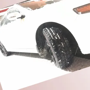 CATCHFORS ALL WEATHER